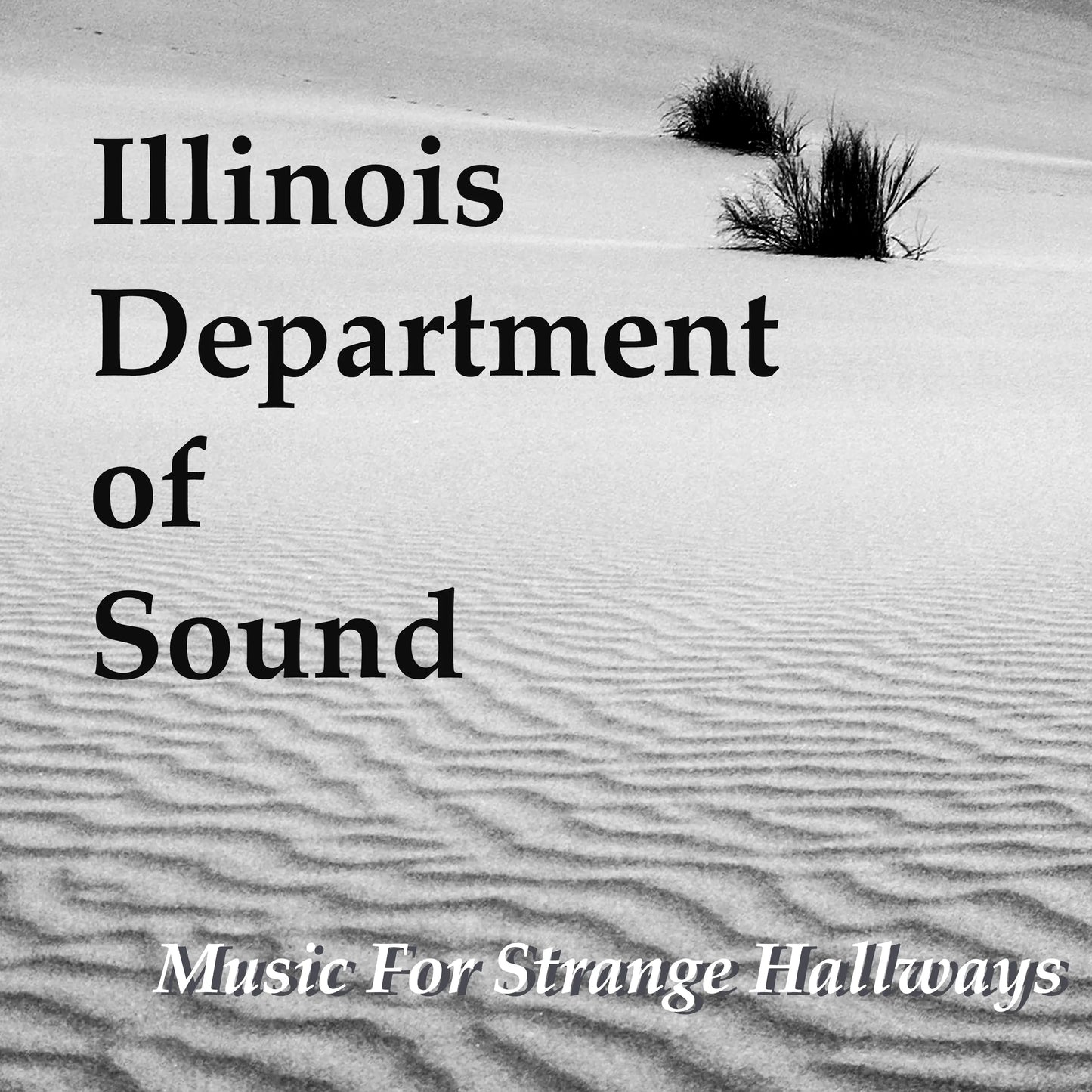 Illinois Department of Sound presents Music For Strange Hallways high-quality MP3 download