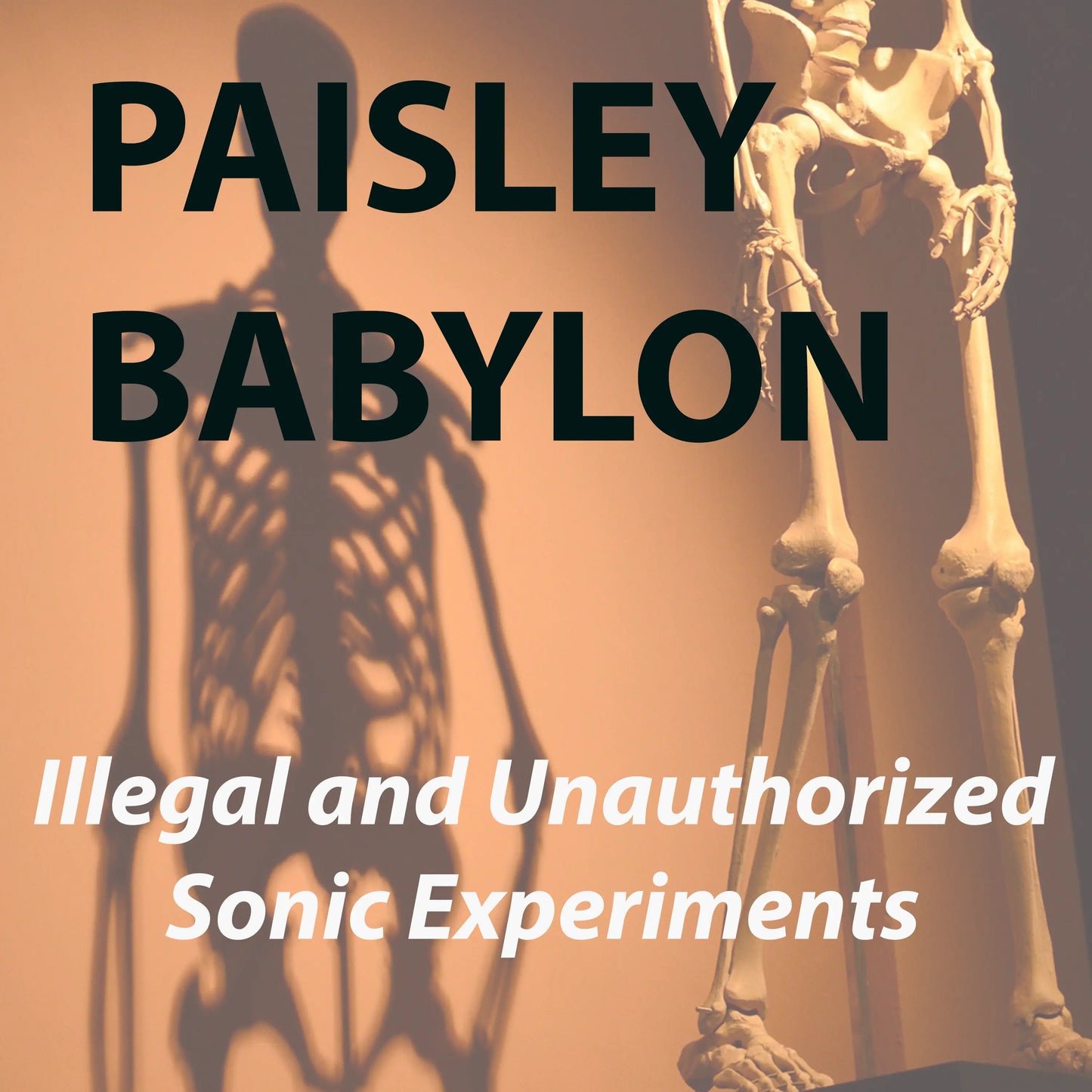 PAISLEY BABYLON Illegal and Unauthorized Sonic Experiments High-Quality MP3 download.