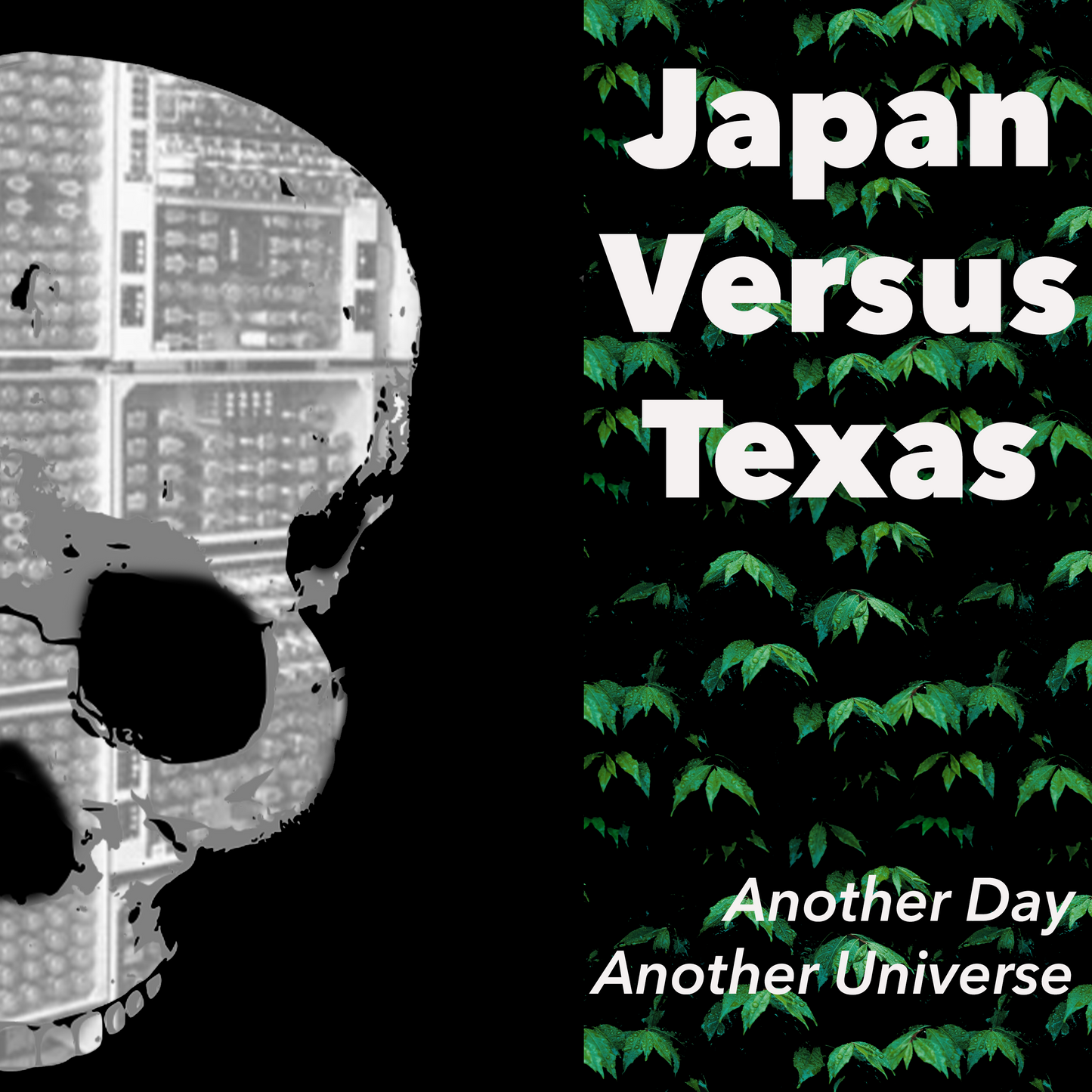 Another Day, Another Universe by Japan Versus Texas high-quality .mp3 single